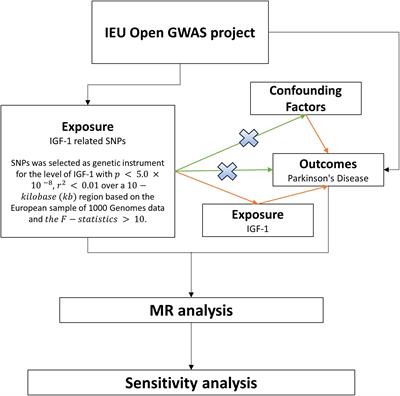 Causal relationship between circulating insulin-like growth factor-1 and Parkinson’s disease: a two-sample Mendelian randomization study